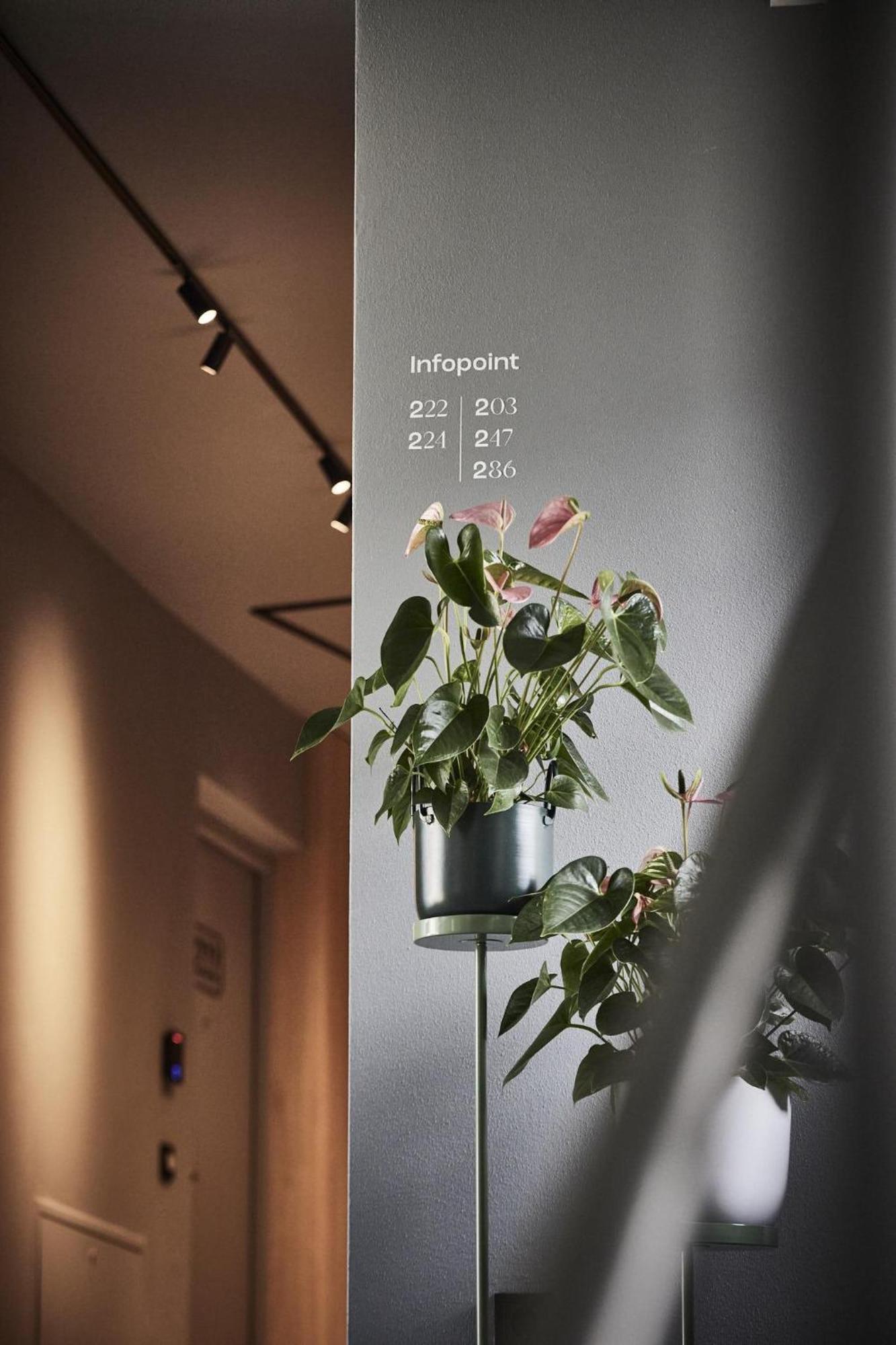 Bettstadt Apartments 维皮泰诺 外观 照片